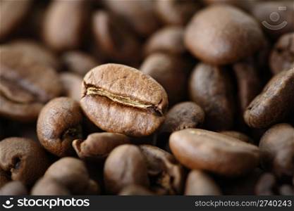 Coffee beans, short depth-of-field