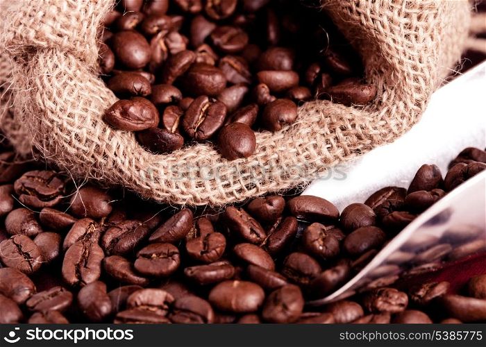 coffee beans spilling out of steel scoop