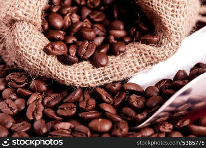 coffee beans spilling out of steel scoop