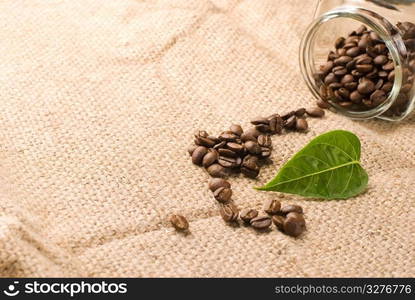 Coffee beans with green leaf on brown burlap background