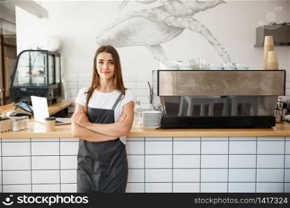 Coffee Business owner Concept - attractive young beautiful caucasian barista in apron smiling at camera in coffee shop counter.. Coffee Business owner Concept - Portrait of happy attractive young beautiful caucasian barista in apron smiling at camera in coffee shop counter.