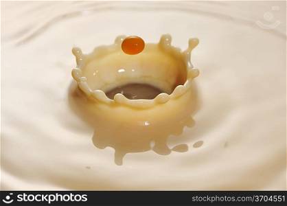 Coffee drop ripple in milk