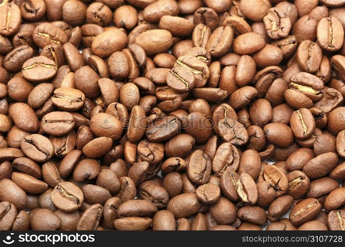 Coffee Graines