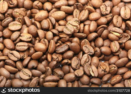Coffee Graines