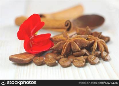 Coffee grains with anise star, red flower blossom and cinnamon sticks with wooden spoon on vintage table food ingredients background. Selective focus. Aroma coffee drink ingredients