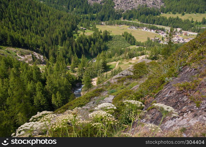 cogne,parc grand paradie,val d'aoste,italy