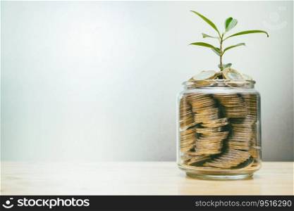 coin saving collection in jar with plant grow for growing wealth personal income