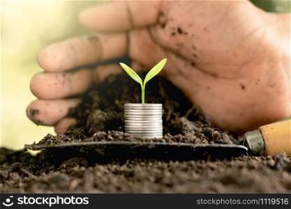 Coins are stacked and the seedlings are growing on top. As the men&rsquo;s hands are gently embraced.
