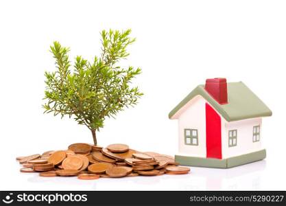 Coins, house and plant isolated on white background