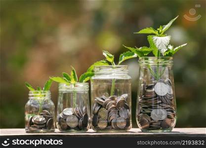 coins in four jug glass with plant grow step on wood. saving and growing money concept