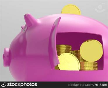 Coins In Piggy Showing Savings And Investment