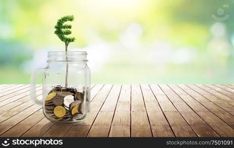 Coins in the glass with Euro shape plant growing ,savings,growing,investment,retirement and education concept .