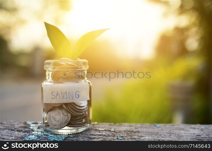Coins money in Jar bottle on wood table sunlight nature green background,saving money concept