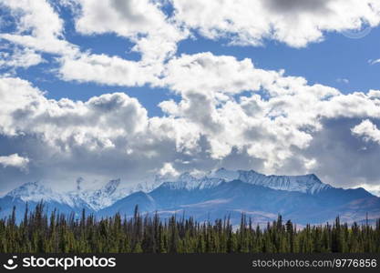 Cold late  autumn in Colorado, United States. Fall season.