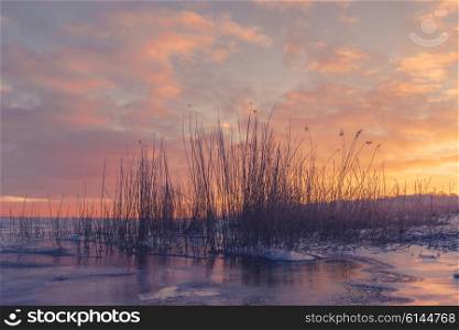 Cold morning with grass silhouettes in a frozen lake