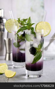Cold refreshment organic cocktail Blackberry mojito with berry fruit in glass