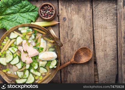 Cold soup with rhubarb and fish.Summer cold soup.Space for text. Vegetable soup with fish
