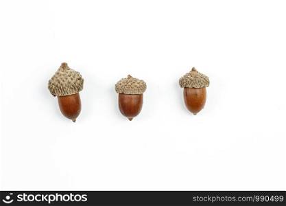 collage. fir cones on white isolated background.
