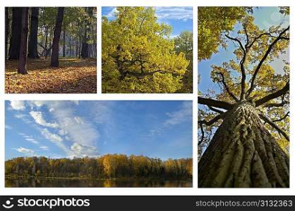 collage of beautiful autumn pictures