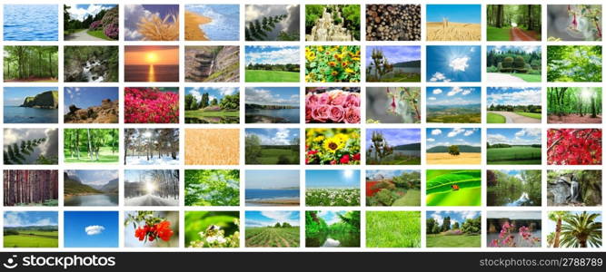 Collage of many nature photos