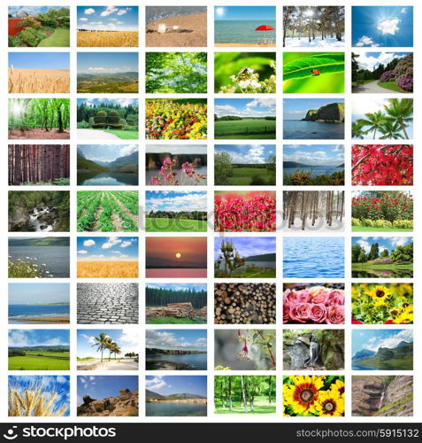 Collage of many nature photos