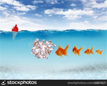 Collage of swimming gold fish and money symbols