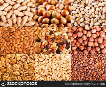 collage of various dried nuts