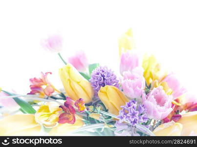 Collage postcard background mix from the 8 March spring flowers. Isolated on white