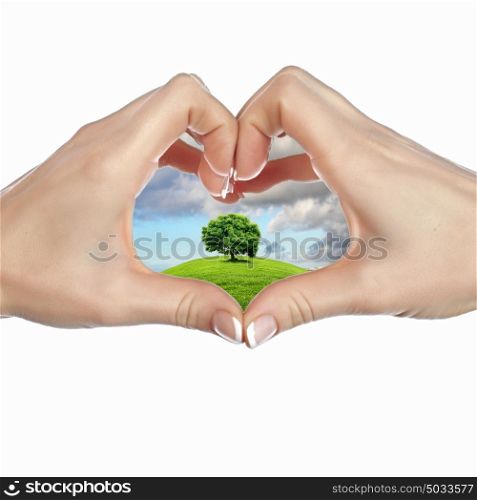 Collage with human hand holding a green plant