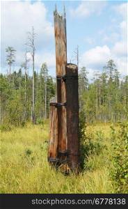 Collapsed old wooden power line pole