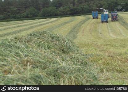 Collecting grass for silage