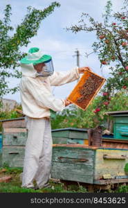 Collecting honey on the apiary. Elderly male beekeeper holds a frame with honeycombs over a hive in the garden, cares for bees, veterinary care and treatment of dangerous bee diseases.. Beekeeper holds frame with honeycombs over hive, cares for bees, veterinary care and treatment of dangerous bee diseases