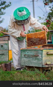 Collecting honey on the apiary. Elderly male beekeeper holds a frame with honeycombs over a hive in the garden, cares for bees, veterinary care and treatment of dangerous bee diseases.. Beekeeper holds frame with honeycombs over hive, cares for bees, veterinary care and treatment of dangerous bee diseases