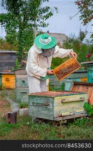 Collecting honey on the apiary. Elderly male beekeeper holds a frame with honeycombs over a hive in the garden, cares for bees, veterinary care and treatment of dangerous bee diseases.. Beekeeper holds frame with honeycombs over hive, cares for bees, veterinary care and treatment of dangerous bee diseases
