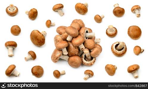Collection champignons with different camera angles isolated on white background