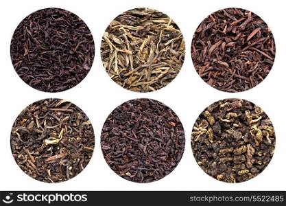 Collection of 6 different tea types isolated on white background.