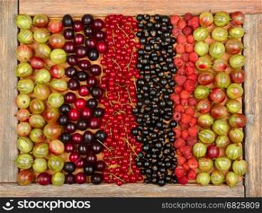 Collection of a variety of fruits (currants, gooseberries, raspberries, plums) on wooden background. The top view.