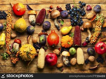 Collection of autumn fruits, vegetables and berries.Autumn nature concept on wooden surface.Vegan food. Autumn harvest set on wooden surface