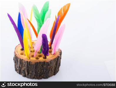 Collection of bright colored feathers on a wooden log