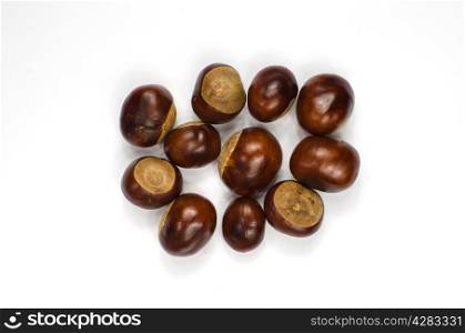 Collection of chestnuts on white background