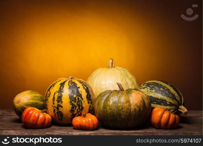 Collection of different shape and color pumpkin on a wooden table. Autumn still life with pumpkin