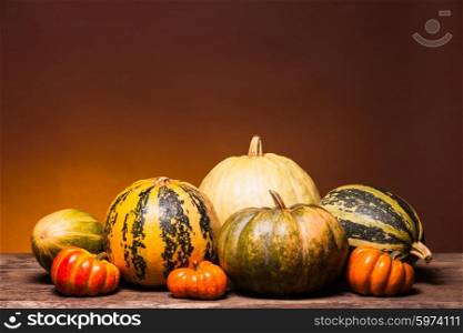 Collection of different shape and color pumpkin on a wooden table. Autumn still life with pumpkin