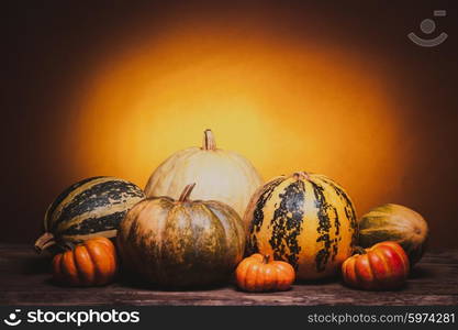 Collection of different shape and color pumpkin on a wooden table. Autumn still life with pumpkin