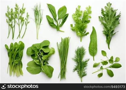 Collection of fresh herb leaves on white background.