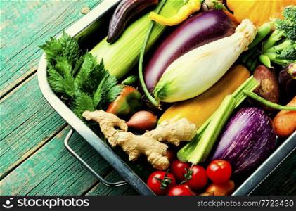 Collection of fresh summer and autumn vegetables.Assortment of raw vegetables. Set of raw vegetables