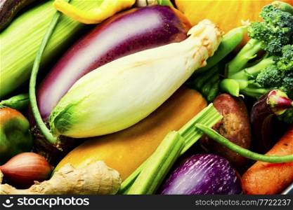 Collection of fresh summer and autumn vegetables. Big set of fresh vegetables