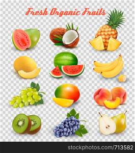 Collection of fruit and berries. Watermelon, honeydew, guava, coconut, pineapple, grapes, mango, peach, pear, banana, kiwi. Vector Set.