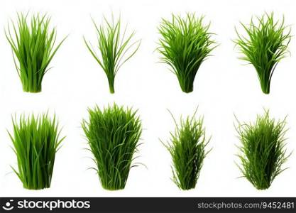 Collection of Green Grass Isolated on White Background. Generative ai. High quality illustration. Collection of Green Grass Isolated on White Background. Generative ai