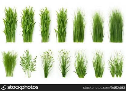 Collection of Green Grass Isolated on White Background. Generative ai. High quality illustration. Collection of Green Grass Isolated on White Background. Generative ai