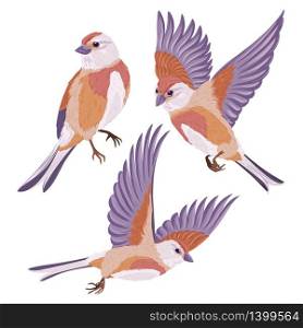 Collection of hand-drawn realistic vector birds. Template for logo, icon, greeting card, poster, flyer, invitation